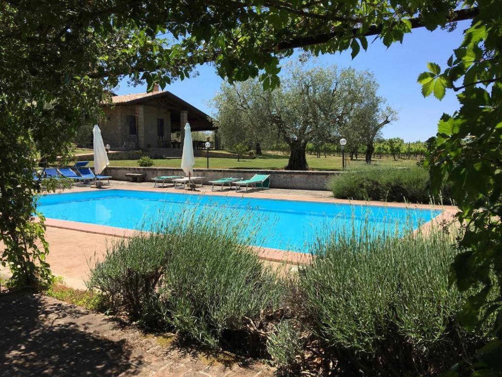 Agriturismo Eco-Bio Villa Vacasio Pitigliano Zewnętrze zdjęcie
