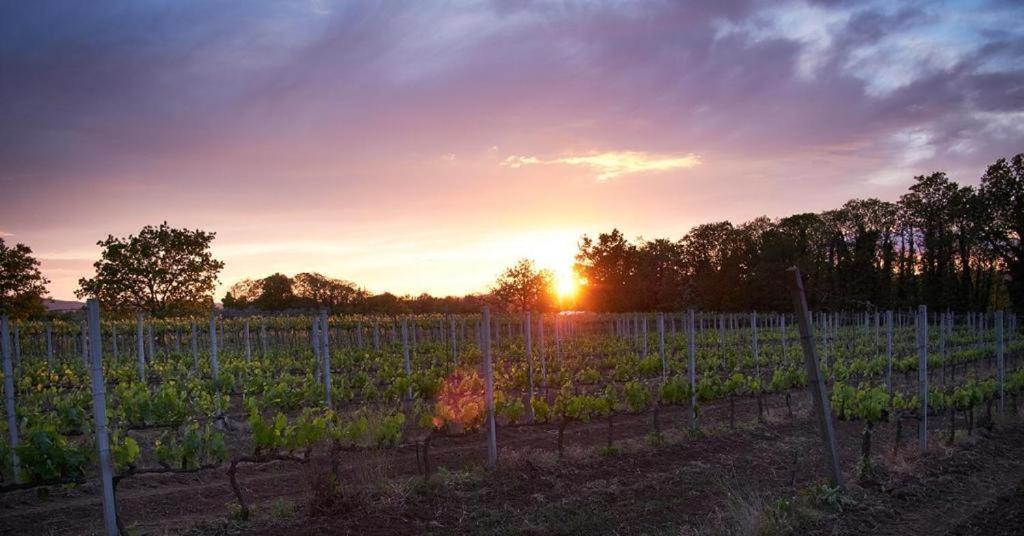 Agriturismo Eco-Bio Villa Vacasio Pitigliano Zewnętrze zdjęcie